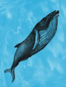 Journée internationale de la baleine : Biblio-filmographie [Février 2023] (FR - PDF - 970.4 Ko)