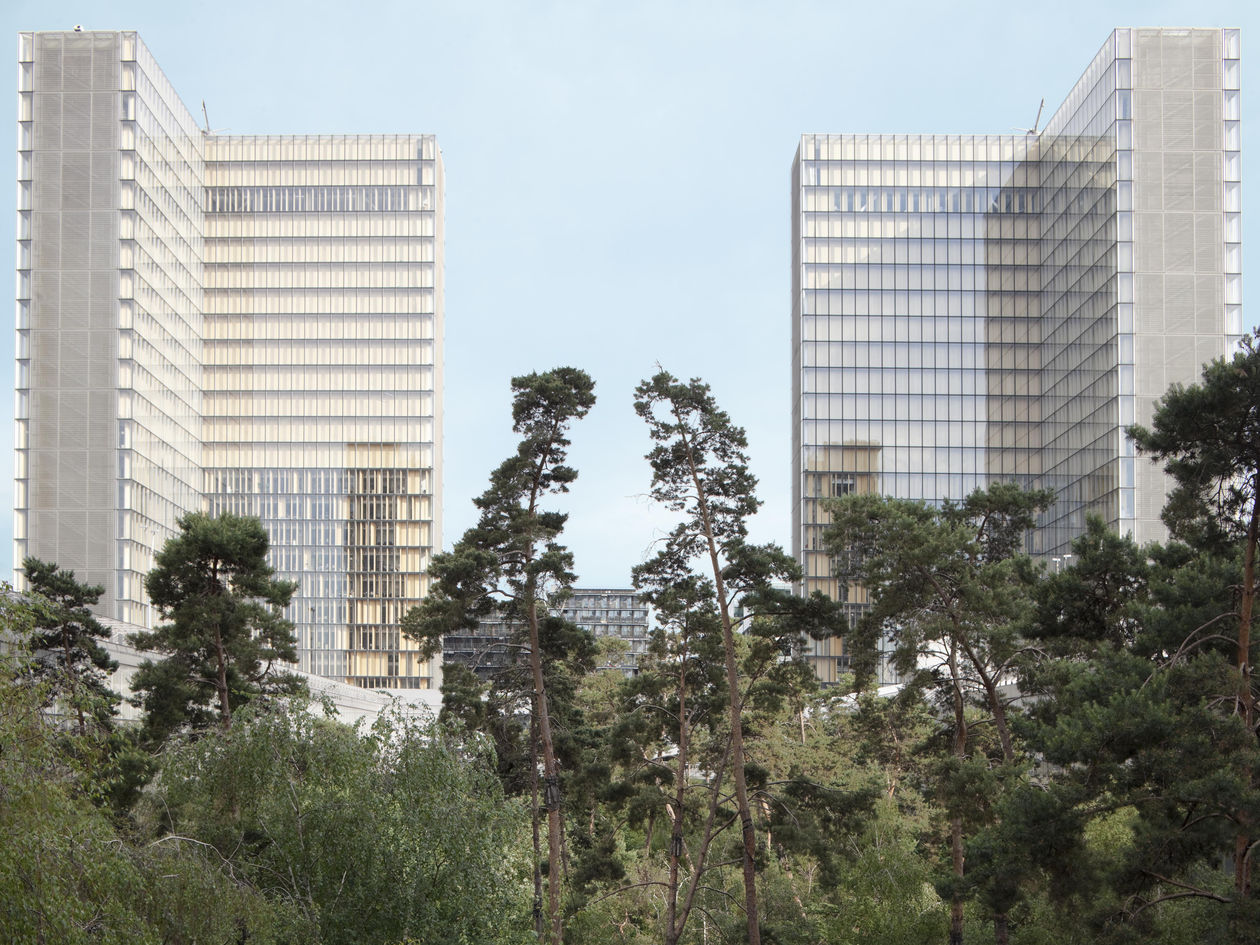 jardin-forêt de la BNF