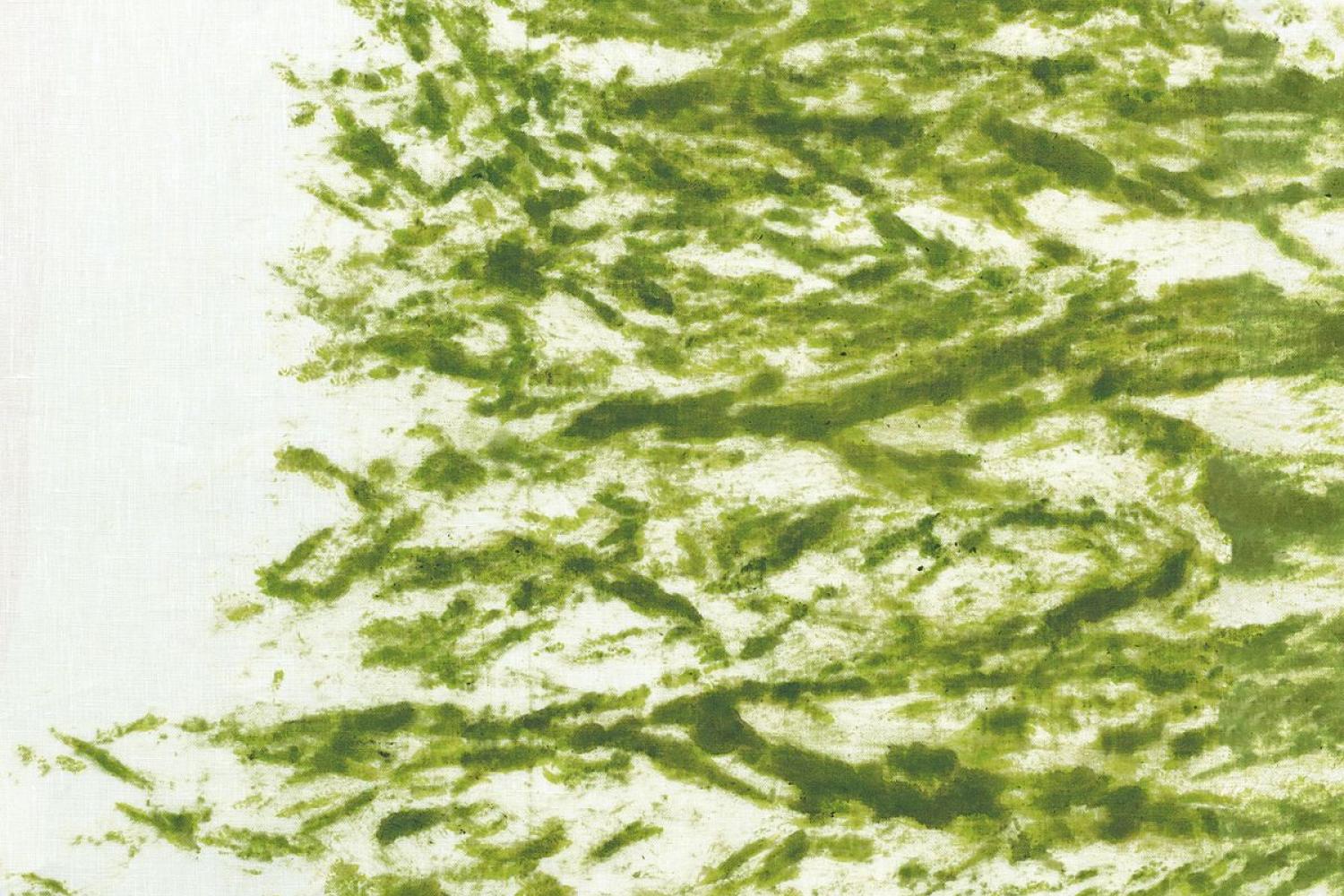 Pensieri e linfa (Sève et pensée) -Penone - 09/08/2021 - BnF