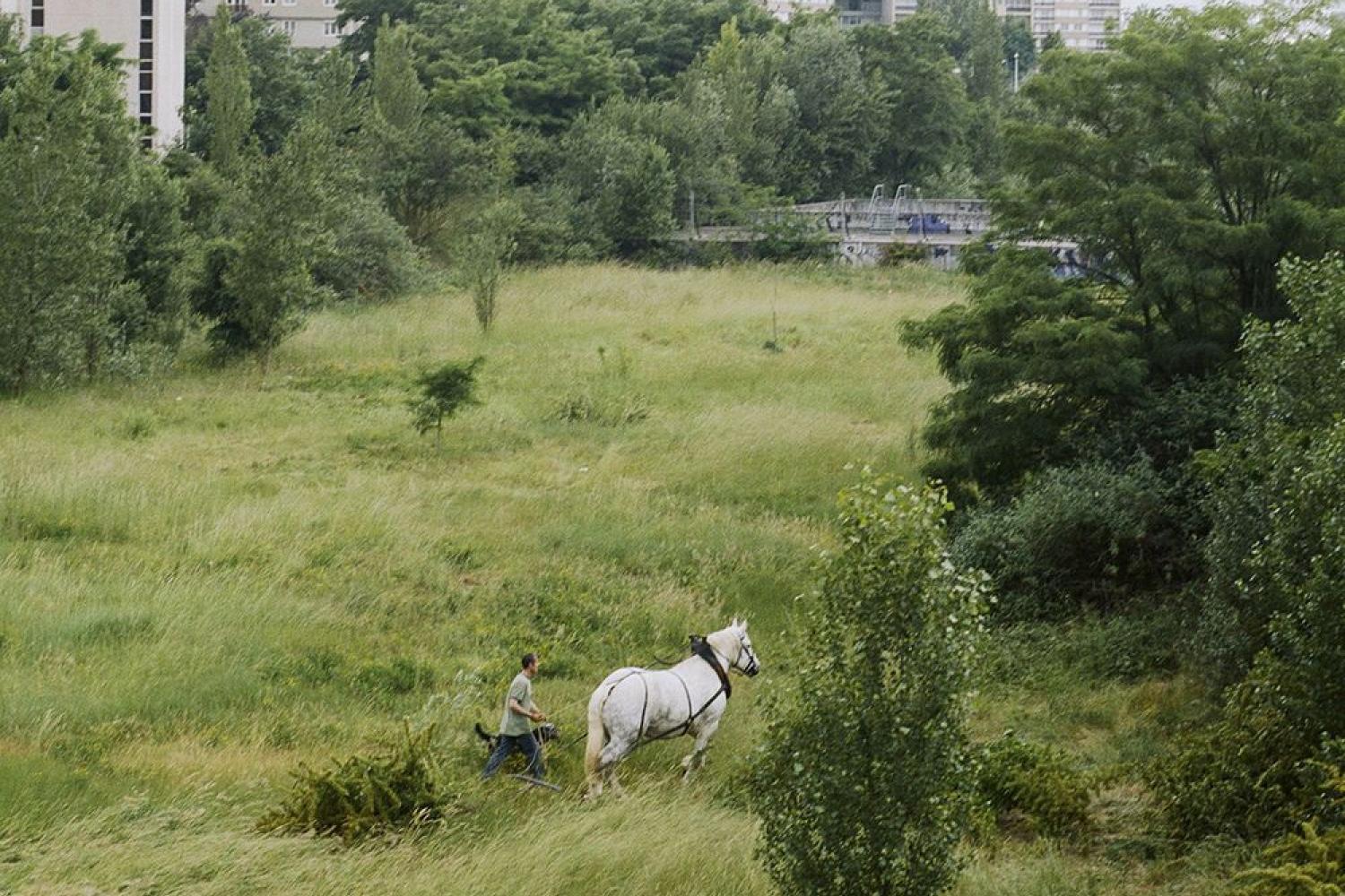 Le cheval de trait de Roger des Près sur le Grand Axe, Nanterre, 2008 © Cyrille Weiner - - Le cheval de trait de Roger des Près sur le Grand Axe, Nanterre, 2008 © Cyrille Weiner
