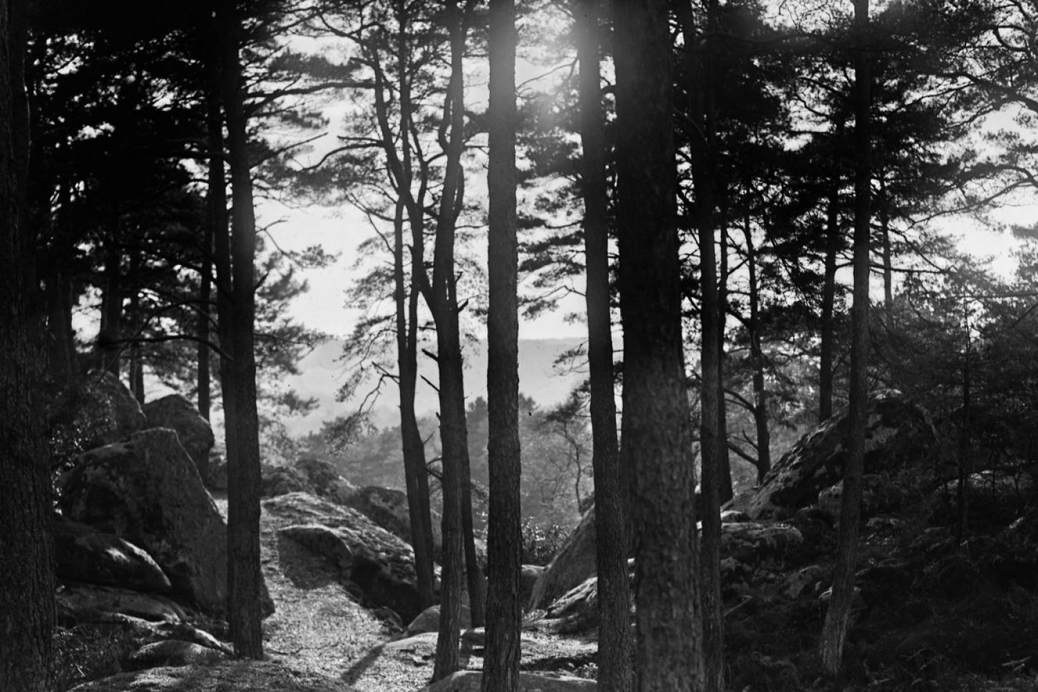 Photographie Agence Rol, Forêt de Fontainebleau, Rocher Cassepot - Mars 1923 - BnF, département des Estampes et de la photographie EI-13 (989)