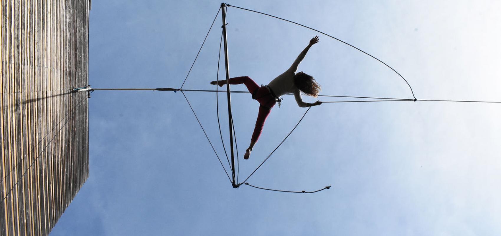 Diagonales ascendantes - - © Olivier Penel - Retouramont