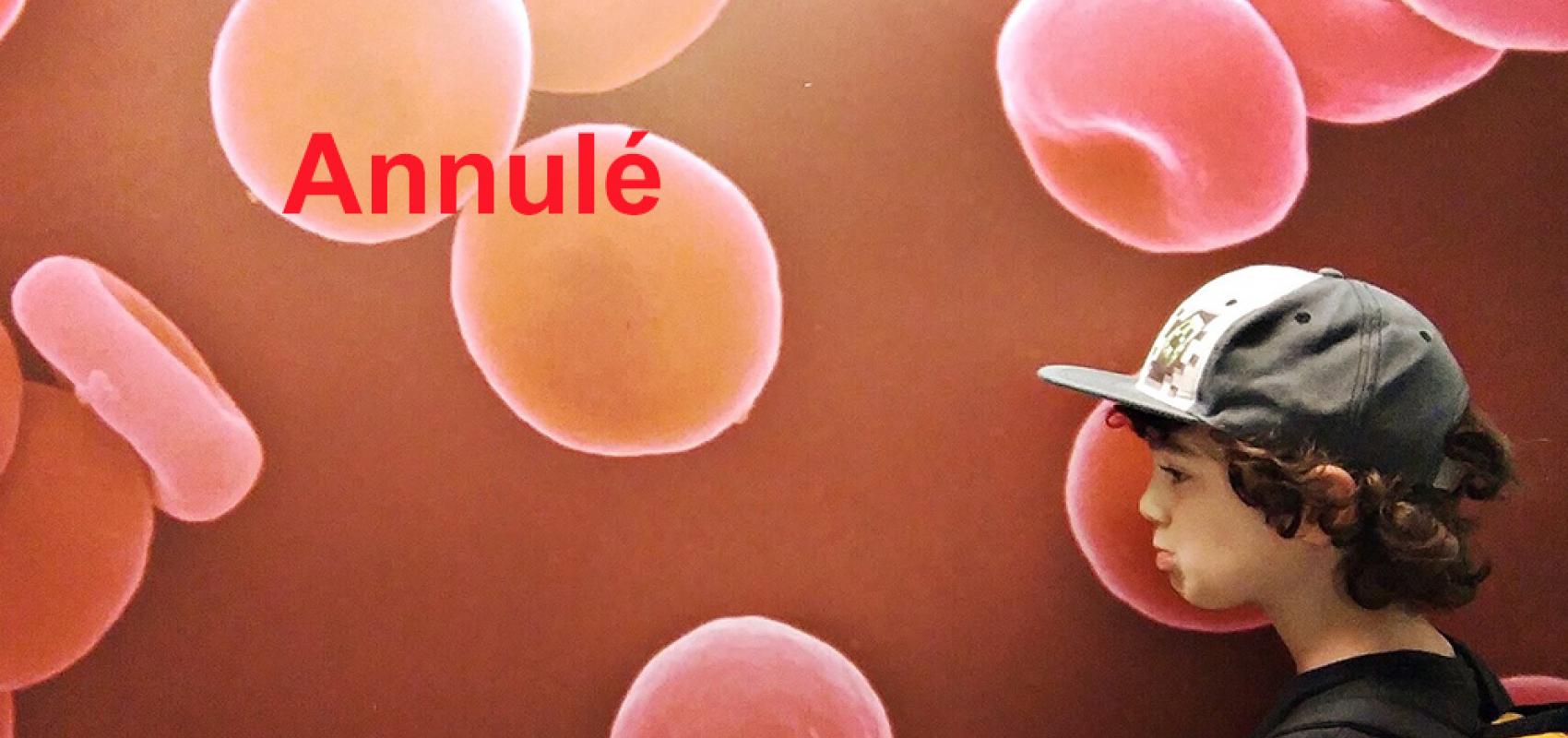 Red blood cells / Globules rouges - - BnF
