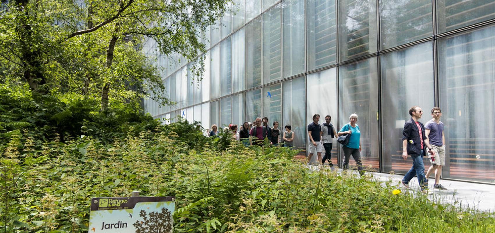 Jardin du site François-Mitterrand - - © David Paul Carr / BnF
