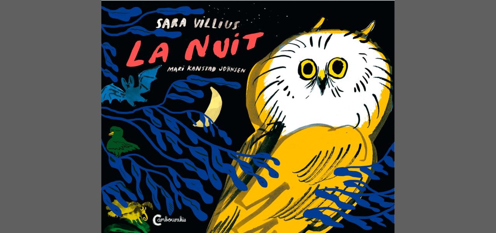 Couverture de La Nuit de Sara Villius - - Éditions Cambourakis