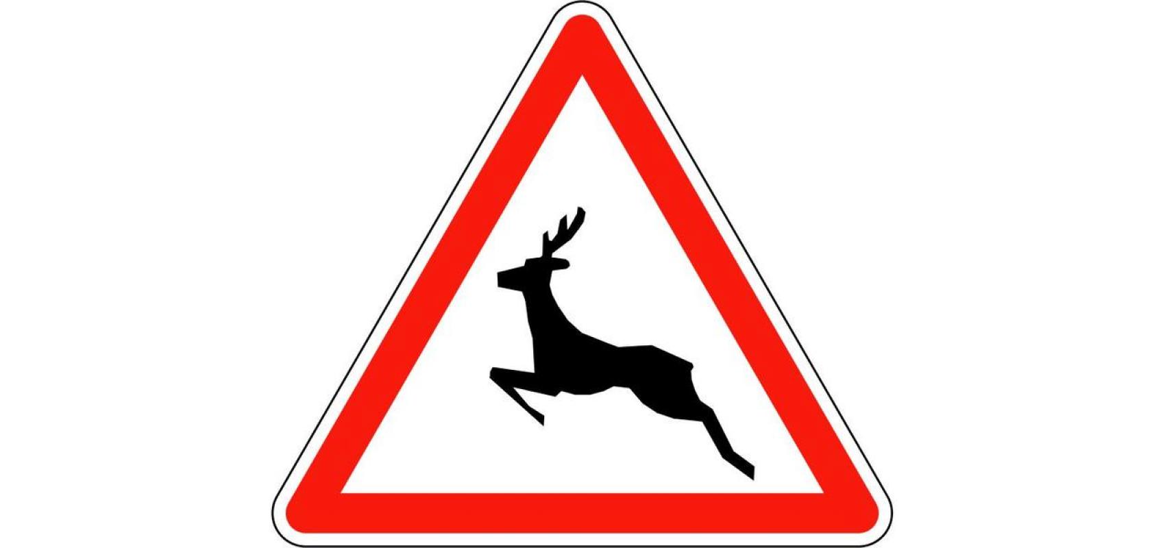 Attention, traversé d'animaux - - D.R.