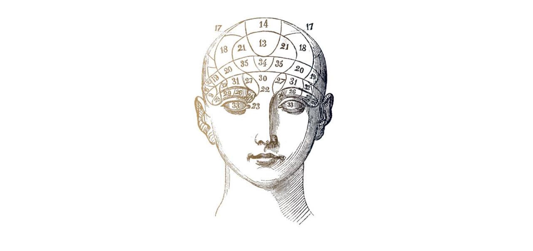 D'après une planche d’organographie, tirée du Manuel pratique de phrénologie ou Physiologie du cerveau, par le Dr Giovanni Fossati, 1845 - - BnF, département des Sciences et techniques