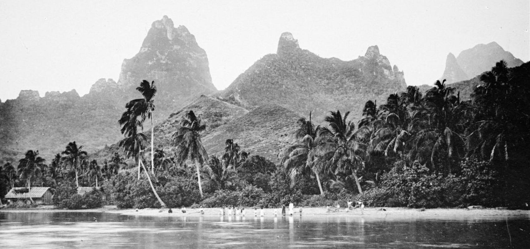 Baie de Haapiti (ile de Moorea) ; Polynésie francaise -  - BnF, CIRAD