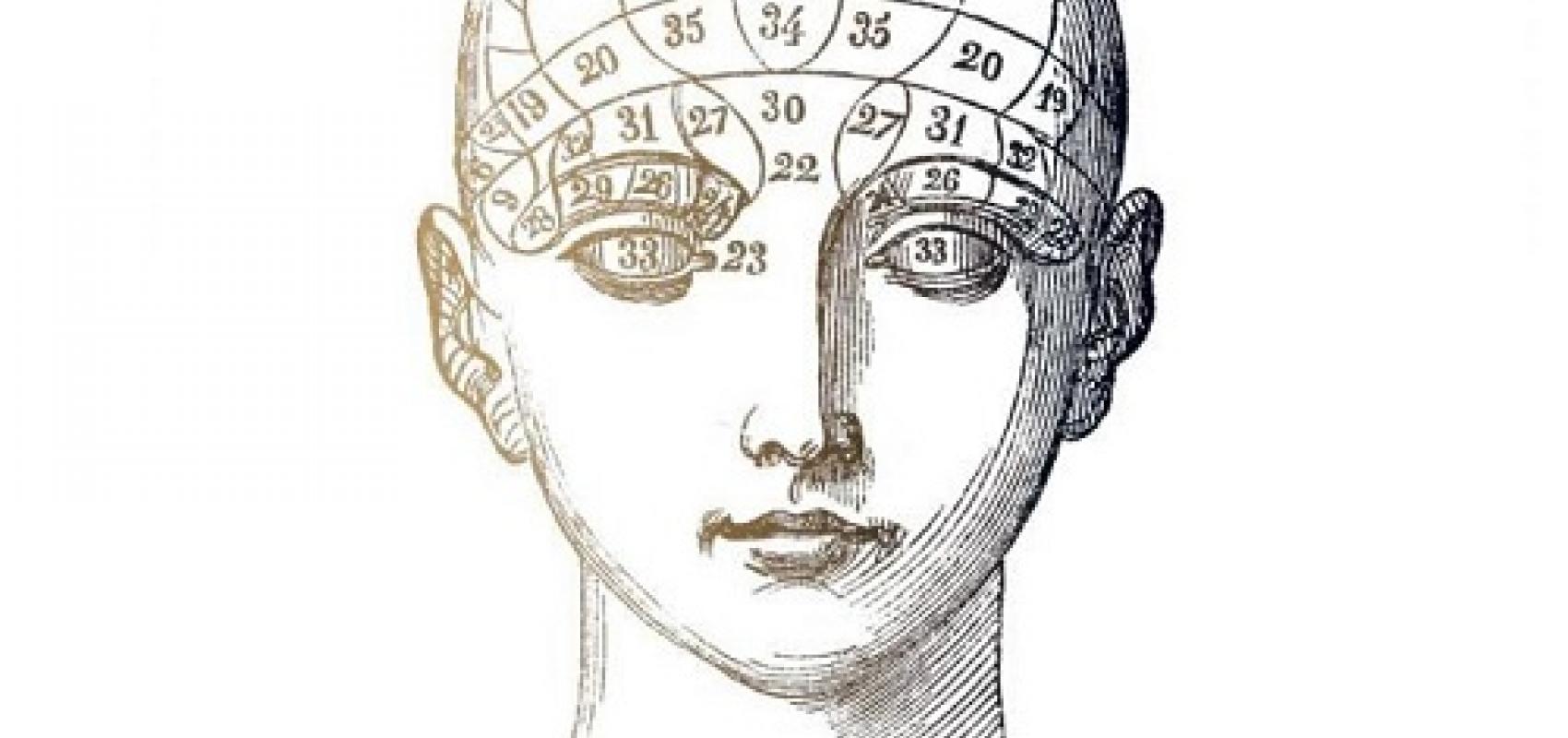 D'après une planche d’organographie, tirée du Manuel pratique de phrénologie ou Physiologie du cerveau - 1845 - Dr Giovanni Fossati