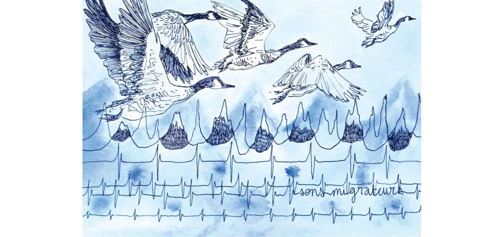 Sons migrateurs – « Le vent qui danse avec la mer » - - © Ernest Quelen de l'École Supérieure des Arts graphiques Estienne à Paris