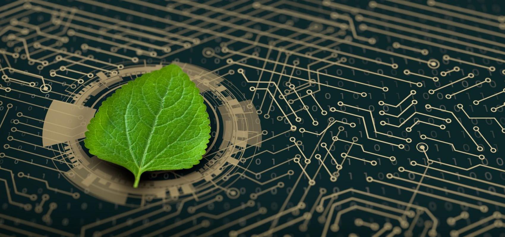 Feuille sur un circuit imprimé - - © peach_adobe / Adobe Stock