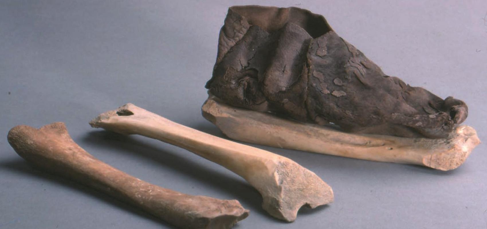 Patins en os et chaussure en cuir du XIe siècle découverts à Saint-Denis -  - © E. Jacquot / UASD
