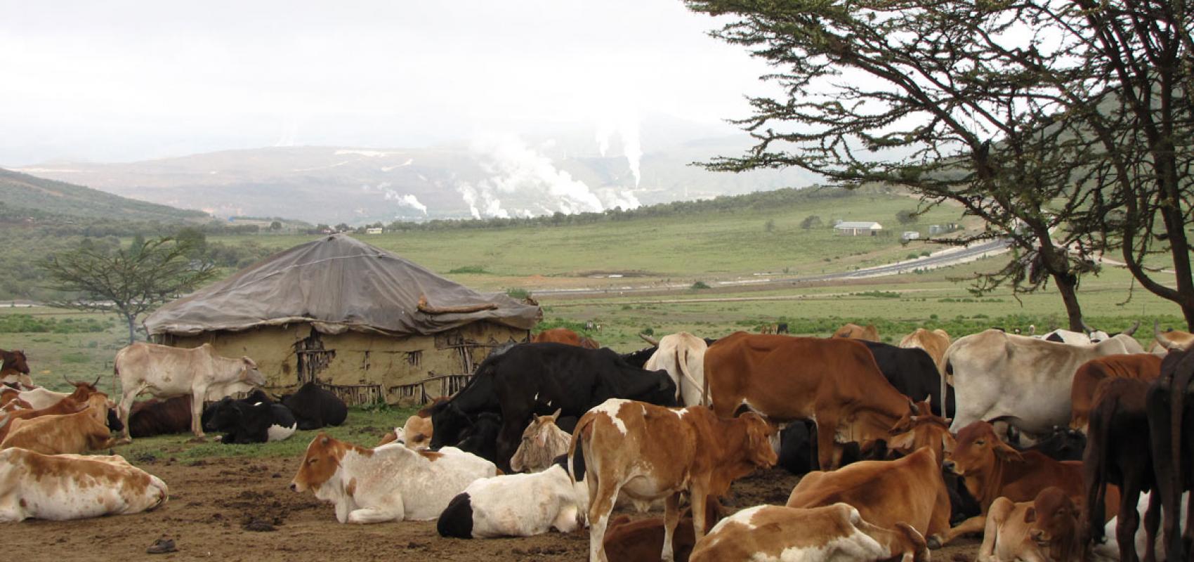 Paysage fumant d'Ol Onongot, 2014 -  - Benoît Hazard, CNRS