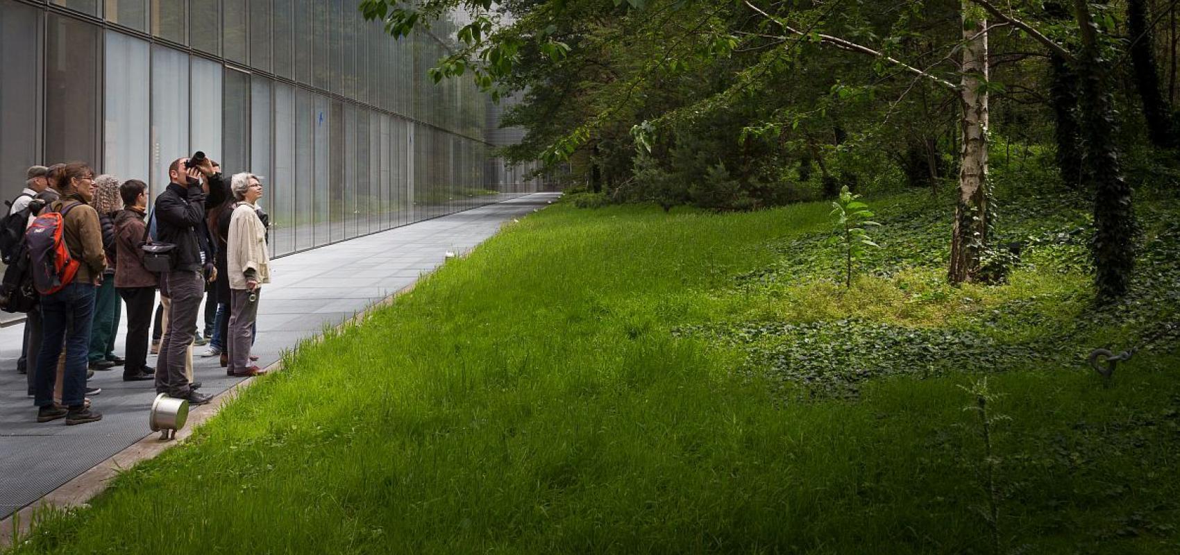 Les rendez-vous au jardin - - © Emmanuel Nguyen Ngoc / BnF