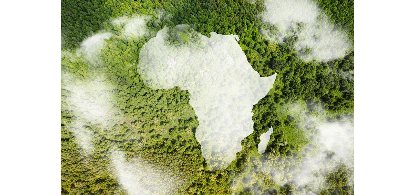 Vue aérienne d'une forêt avec la forme de l'Afrique - - © 2024 Runawayphill / Shutterstock