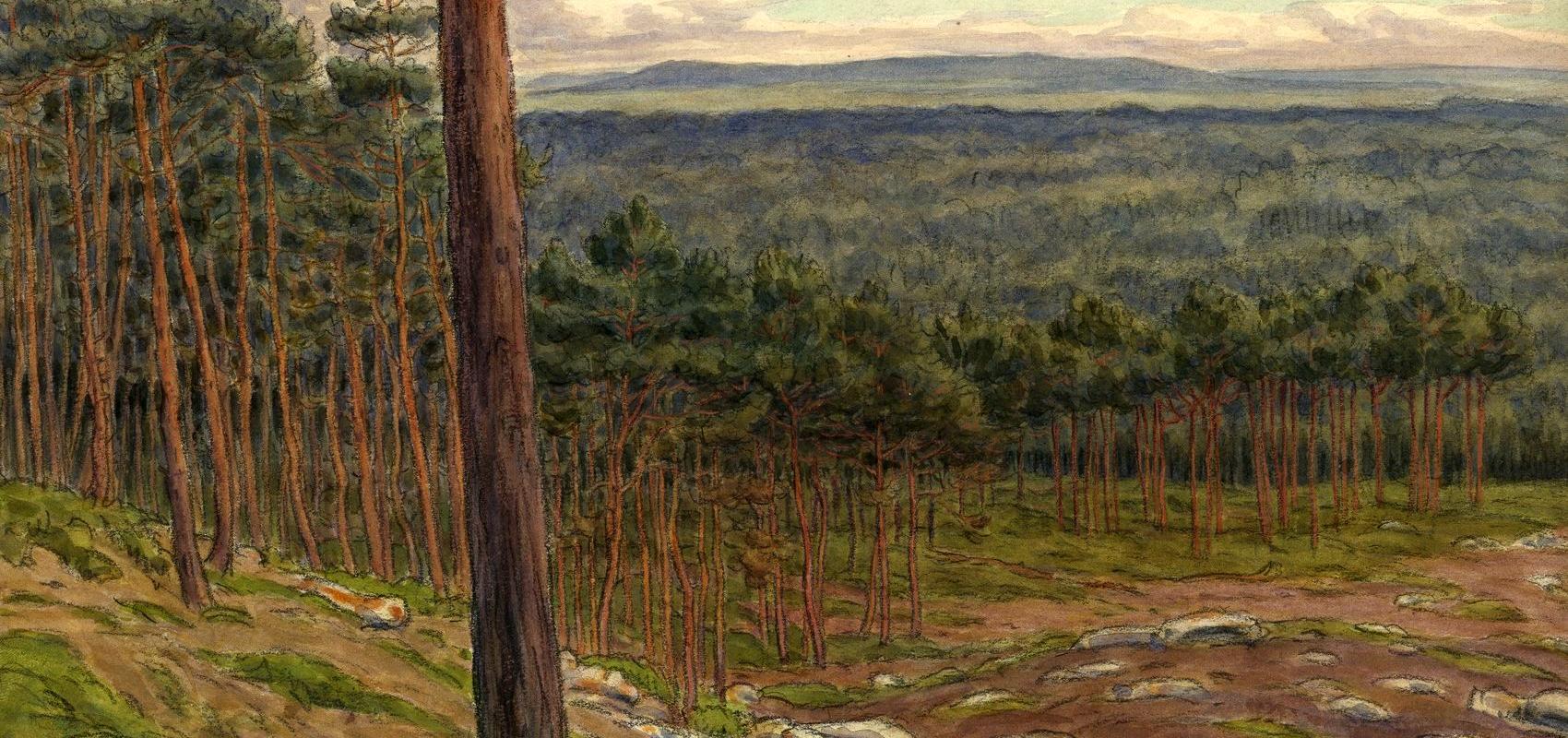 La Malmontagne, Fontainebleau, dessin d'Henri Rivière - 1900 - BnF, département des Estampes et de la photographie