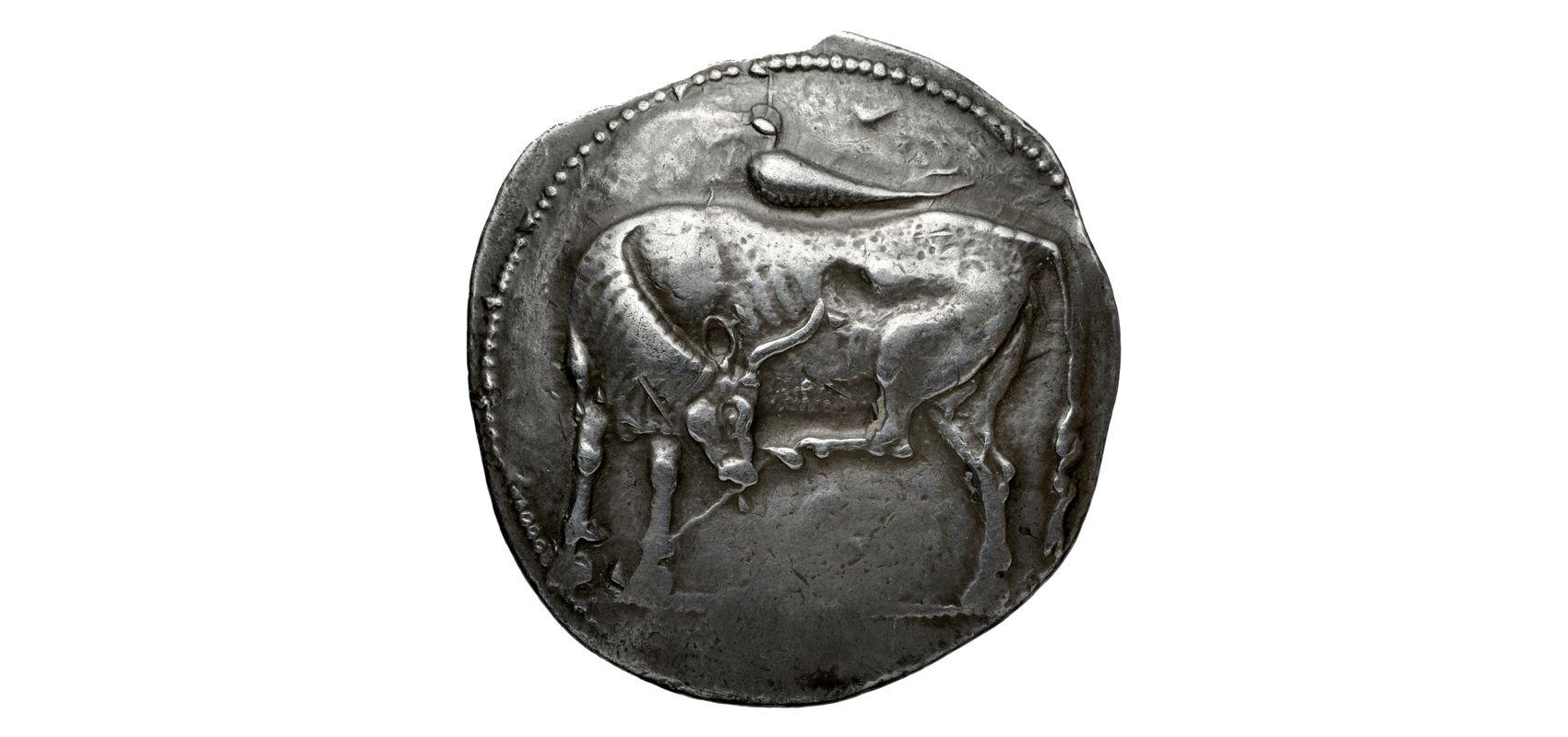 Tétardrachme d’Erétrie (Eubée) - - BnF, département des Monnaies, médailles et antiques
