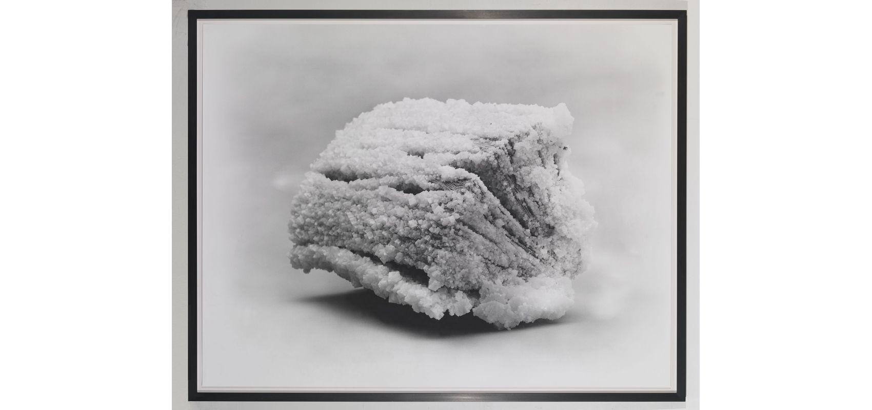 Tacita Dean, « The Book end of time » - 2013 - © Tacita Dean – Courtesy the artist, Frith Street Gallery, London and Marian Goodman Gallery, New York / Paris