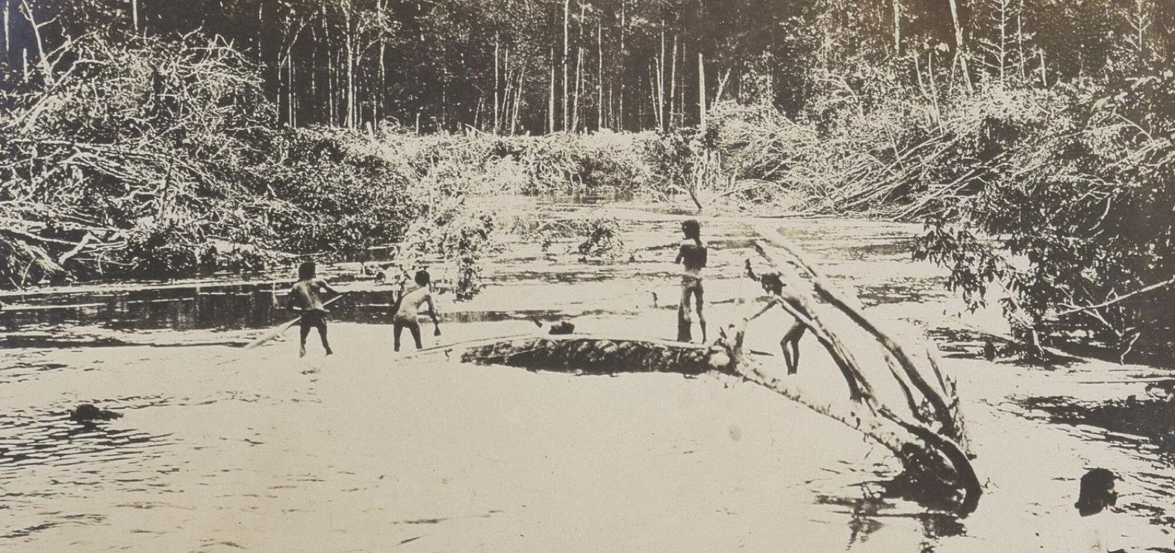Thomas William Whiffer, Album de 87 photos d'Indiens et de paysages (Amazonie brésilienne) - 1908-1909 - BnF, Société de Géographie