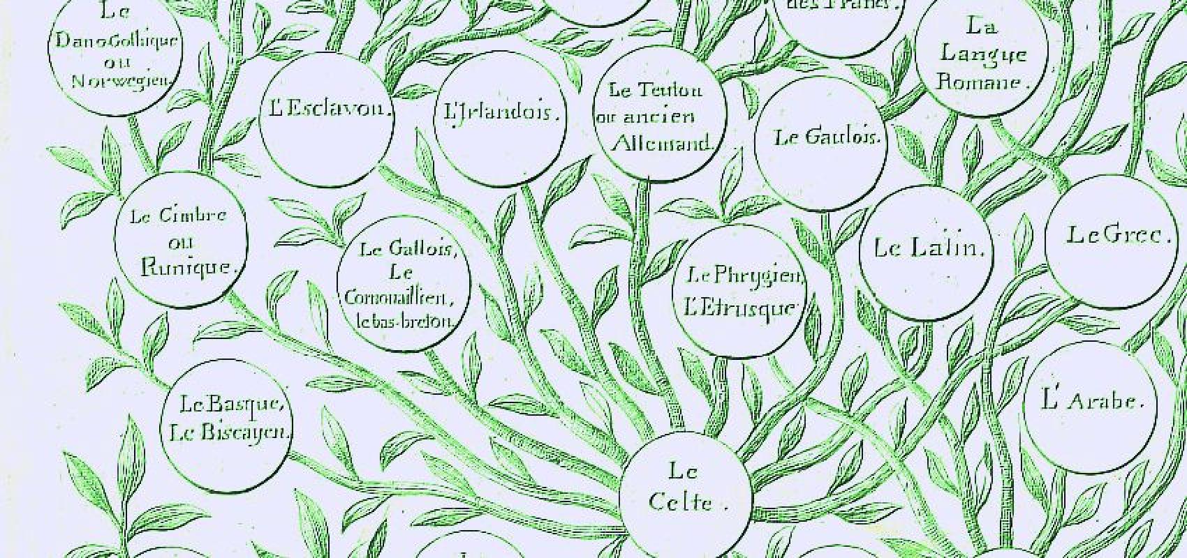 Arbre généalogique des langues mortes et vivantes, dressé d'après les principes de l'auteur du Monde primitif sur la génération des langues par Félix Gallet - - BnF, Gallica/ark:/12148/bpt6k8546015