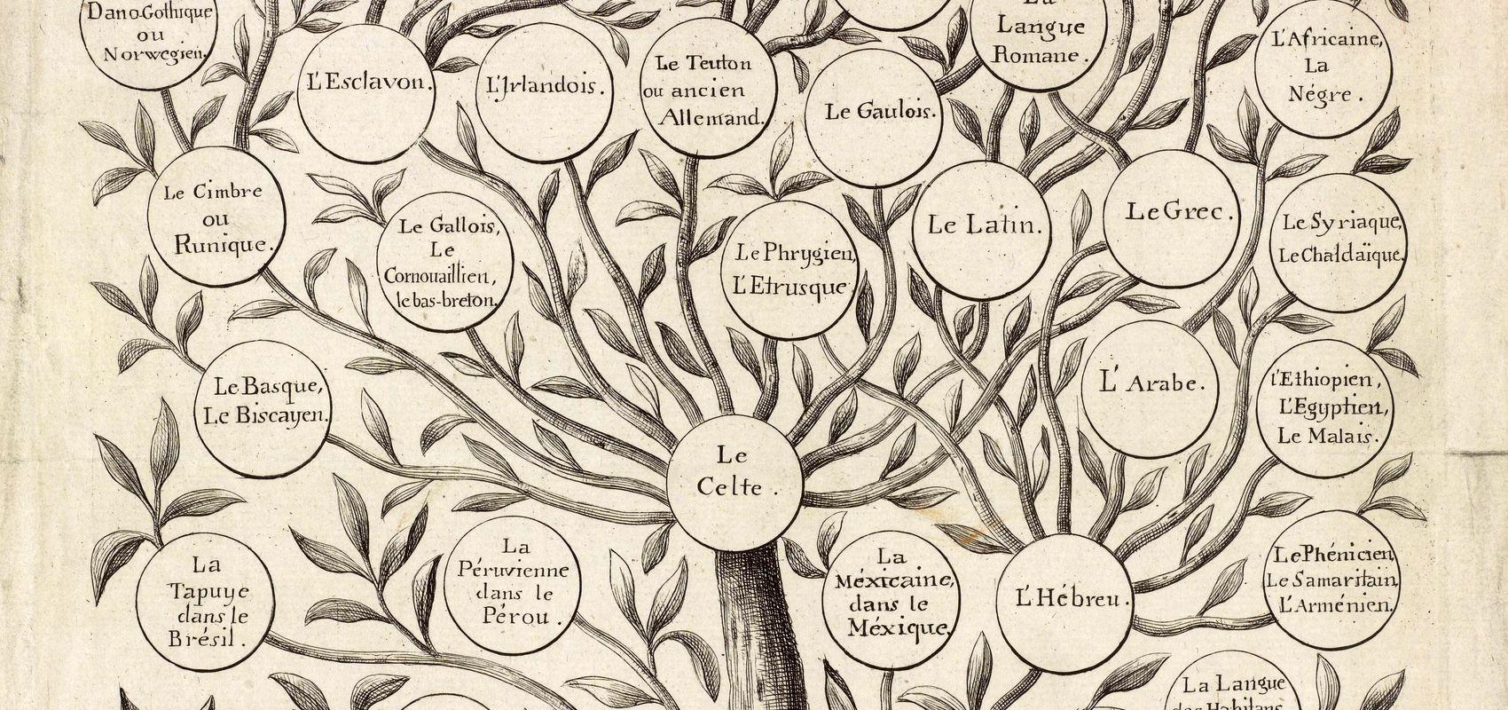 Arbre généalogique des langues mortes et vivantes, dressé d'après les principes de l'auteur du Monde primitif sur la génération des langues par Félix Gallet - - BnF, département Littérature et art, X-1305, https://gallica.bnf.fr/ark:/12148/bpt6k8546015