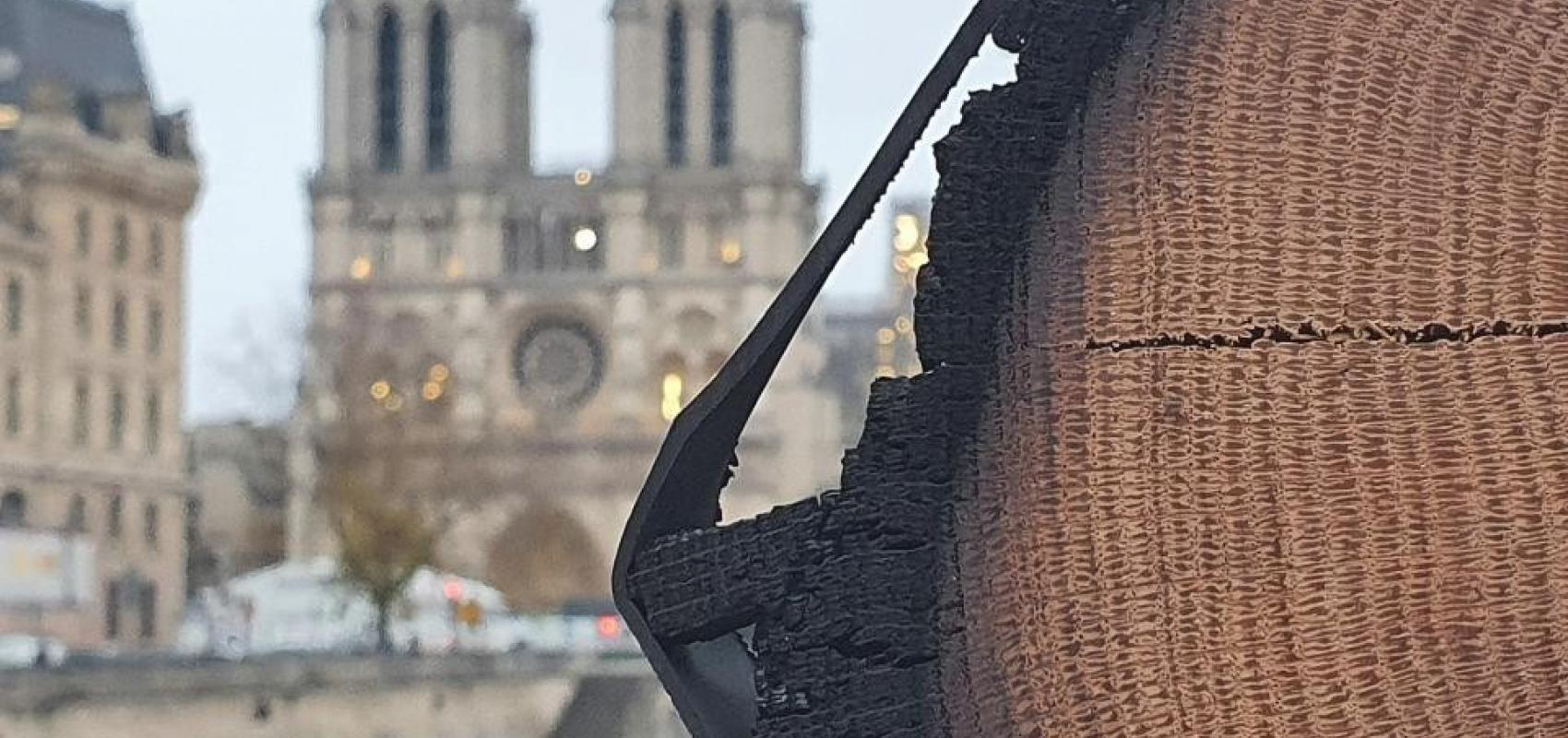 Le bois de Notre Dame -  - © Anna Štulc-Imbert