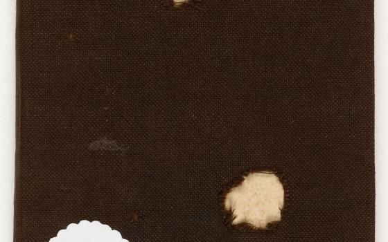 Les cahiers de Marie Curie