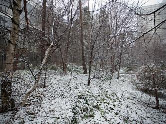 Jardin du site François-Mitterrand sous la neige