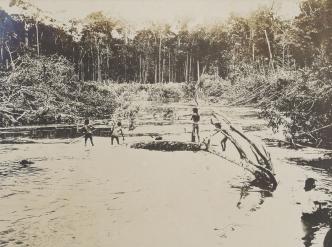 Thomas William Whiffer, Album de 87 photos d'Indiens et de paysages (Amazonie brésilienne)