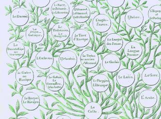  Arbre généalogique des langues mortes et vivantes, dressé d'après les principes de l'auteur du Monde primitif sur la génération des langues par Félix Gallet