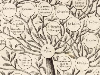 Arbre généalogique des langues mortes et vivantes, dressé d'après les principes de l'auteur du Monde primitif sur la génération des langues par Félix Gallet