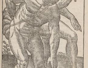 « Danseur et Sonneur de Maraca », 1578