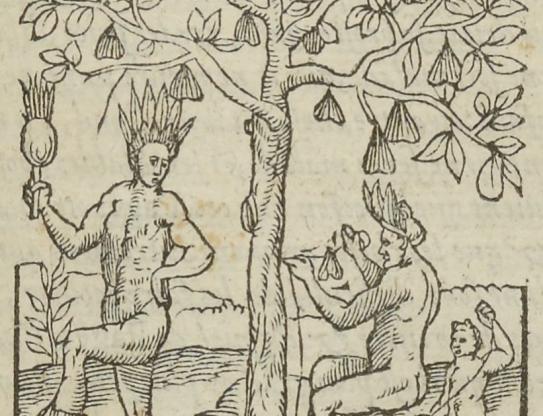« Des faux prophètes et magiciens de ce pays qui communiquent avec les esprits malins », 1558