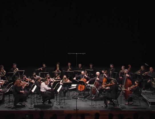 Davaux, Haydn, Mozart – Concert