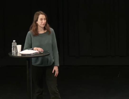 Maryam Mirzakhani et la géométrie des surfaces