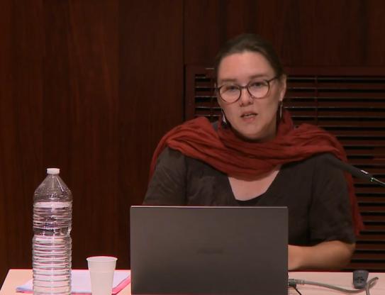 Morgane, entre ambiguïté et polyvalence