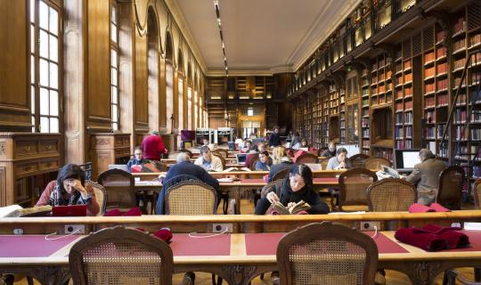 Hacer investigaciones en la biblioteca