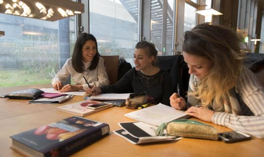 Estudiar en la BnF