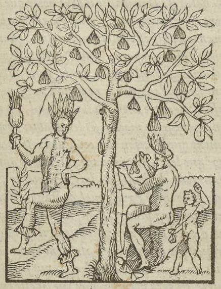 « Des faux prophètes et magiciens de ce pays qui communiquent avec les esprits malins » par André Thevet (1516-1590)