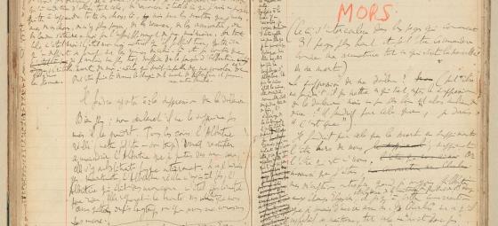 PLAISIR DE LIRE : livres anciens, livres nouveaux - Page 5 Manuscrit-proust-la-recherche